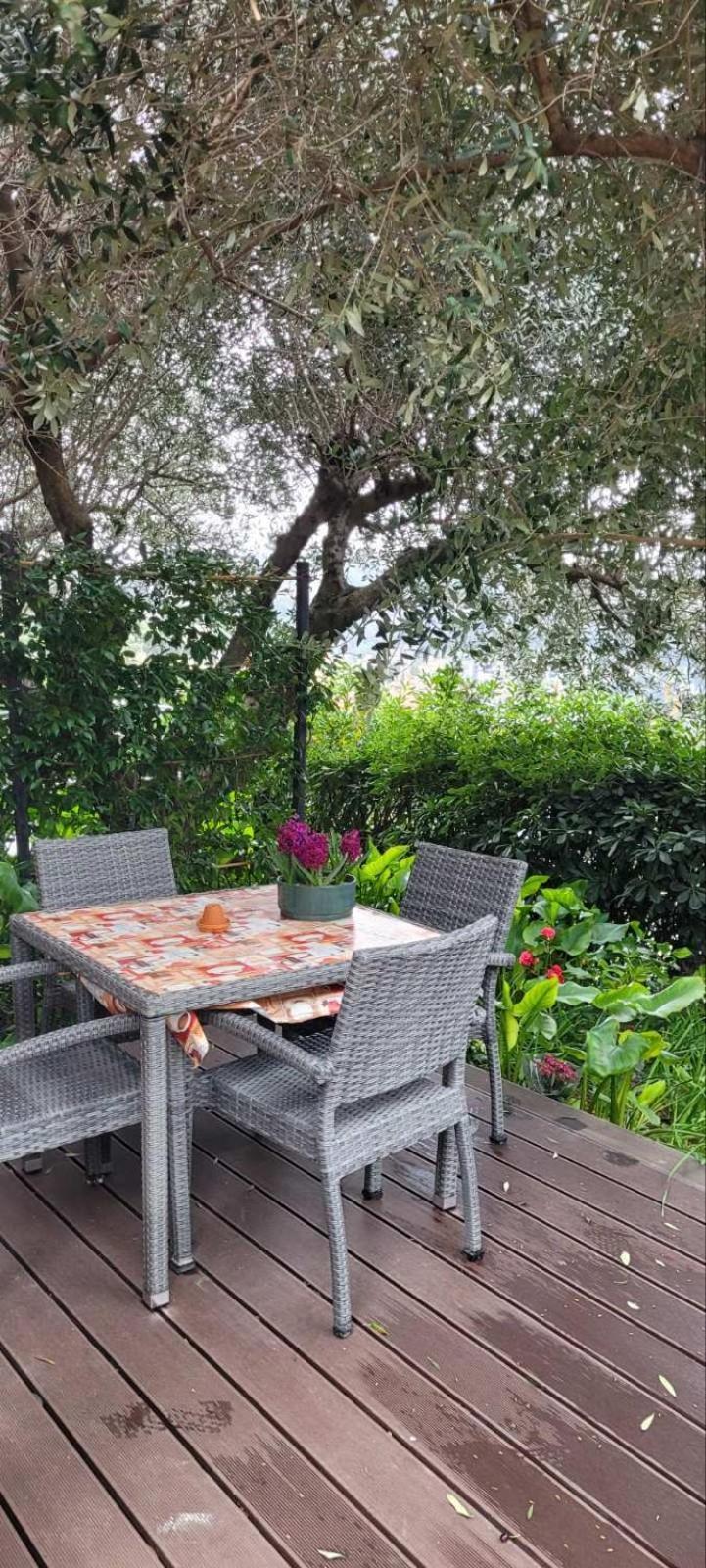 Izabela Apartment 波尔托罗 外观 照片
